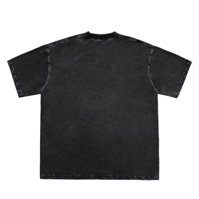 Twins Within Vintage Washed T-Shirt