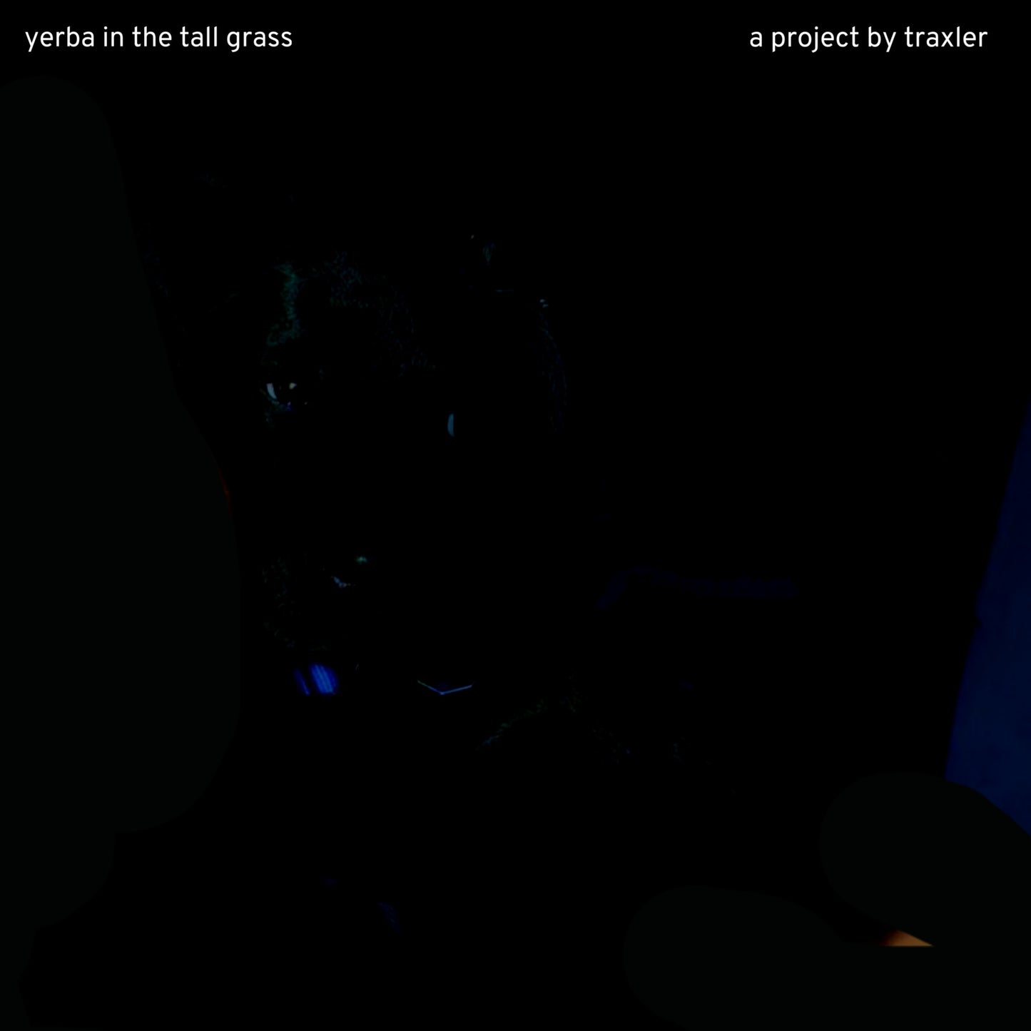 yerba in the tall grass instrumental album by Trax
