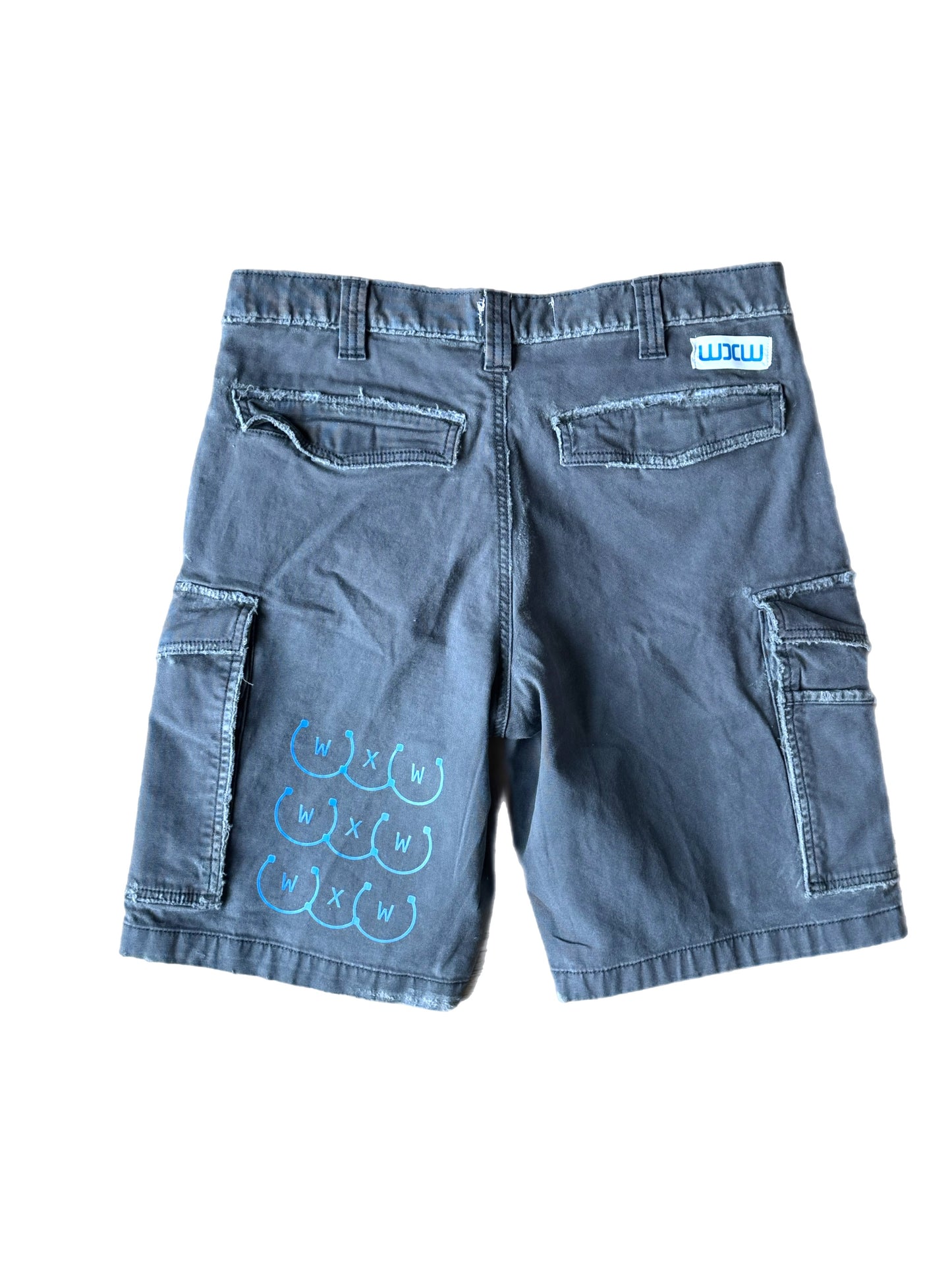 Aweminous Seam Distressed Carhartt Cargo